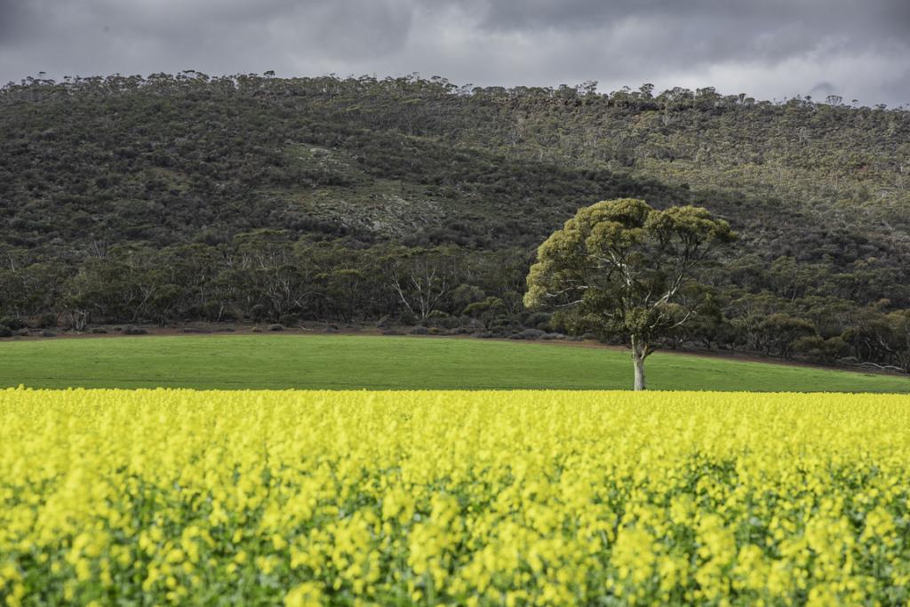  LAKE HINDS RD N, WONGAN HILLS, WA 6603