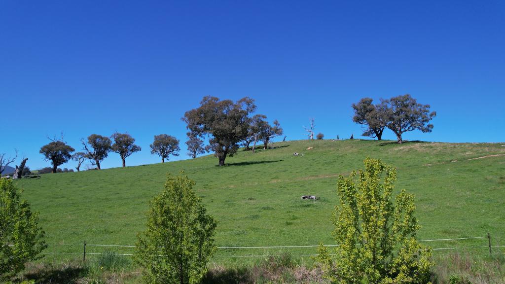 25 Jephcott Ave, Corryong, VIC 3707
