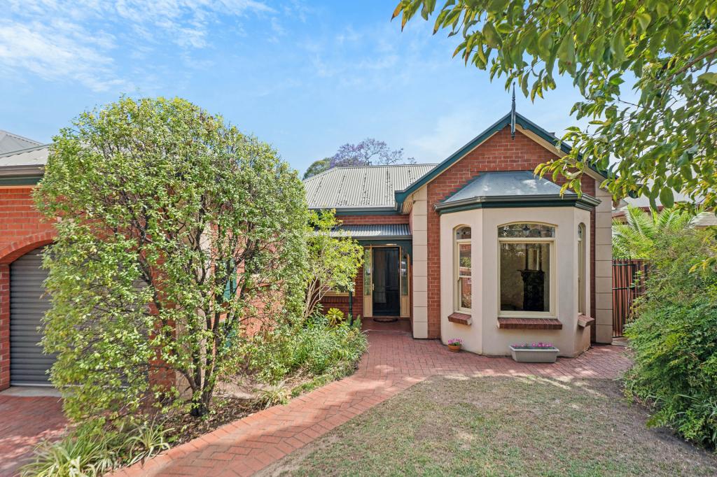 47a Glenunga Ave, Glenunga, SA 5064