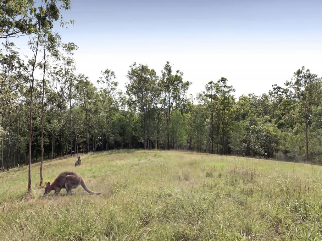 27 York St, Mount Crosby, QLD 4306