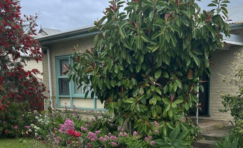 114 Princes Hwy, Port Fairy, VIC 3284