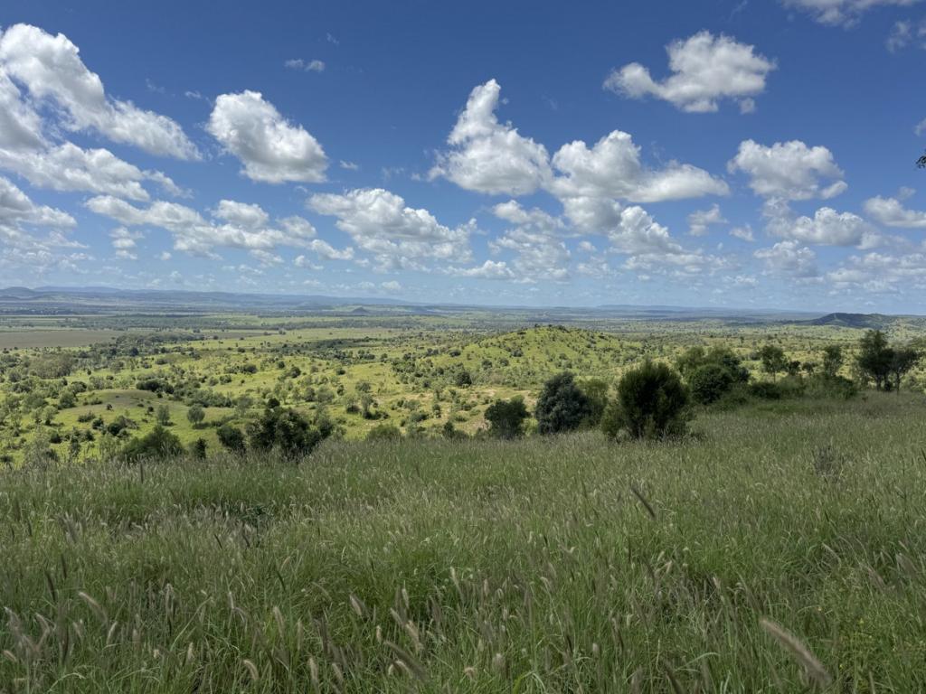 "Mustons" Frawleys Rd, Thangool, QLD 4716