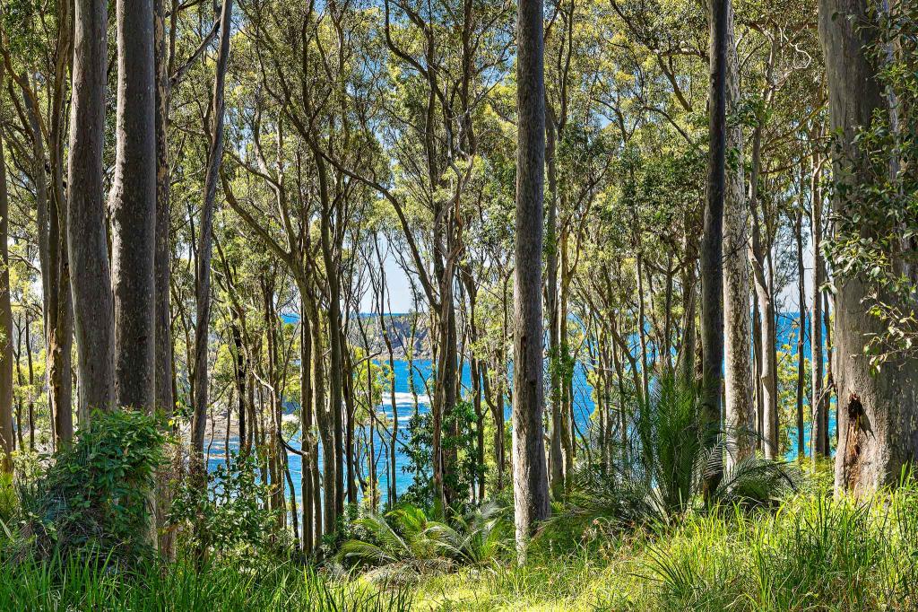 13 Dale Pl, Rosedale, NSW 2536