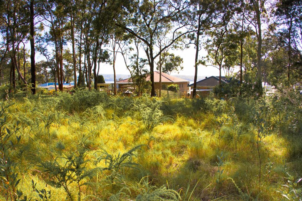 LOT 1 THE RIDGEWAY, NORTH ARM COVE, NSW 2324