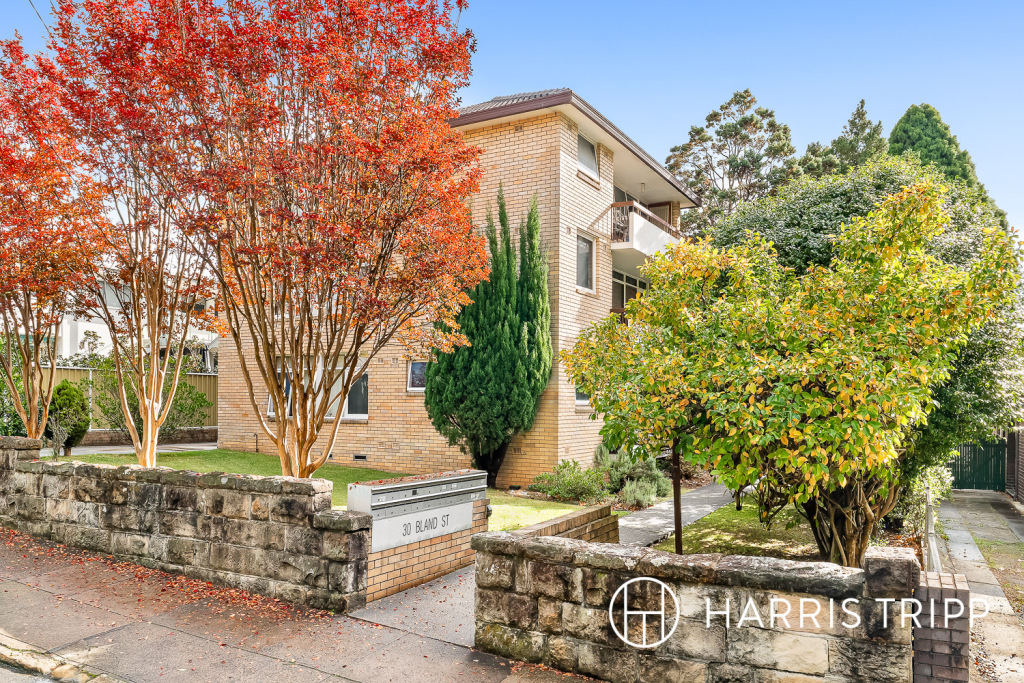 15/30 Bland St, Ashfield, NSW 2131