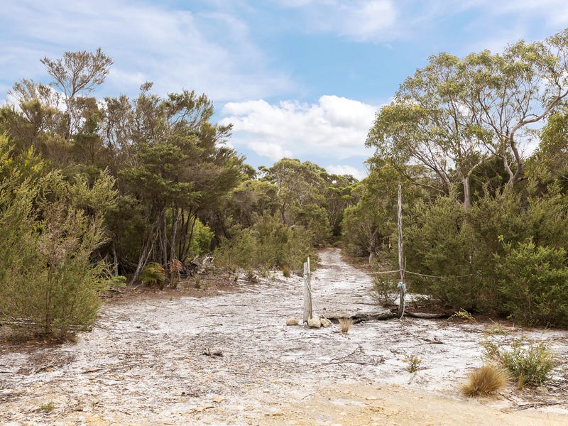  Boat Harbour Rd, Killiecrankie, TAS 7255