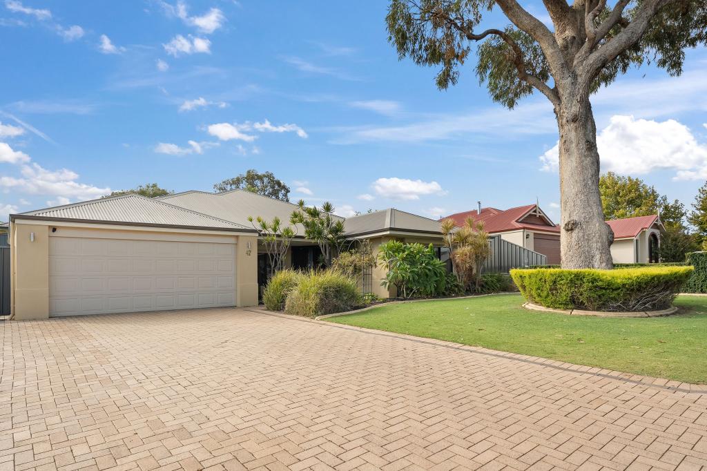47 Lemon Gum Dr, Baldivis, WA 6171