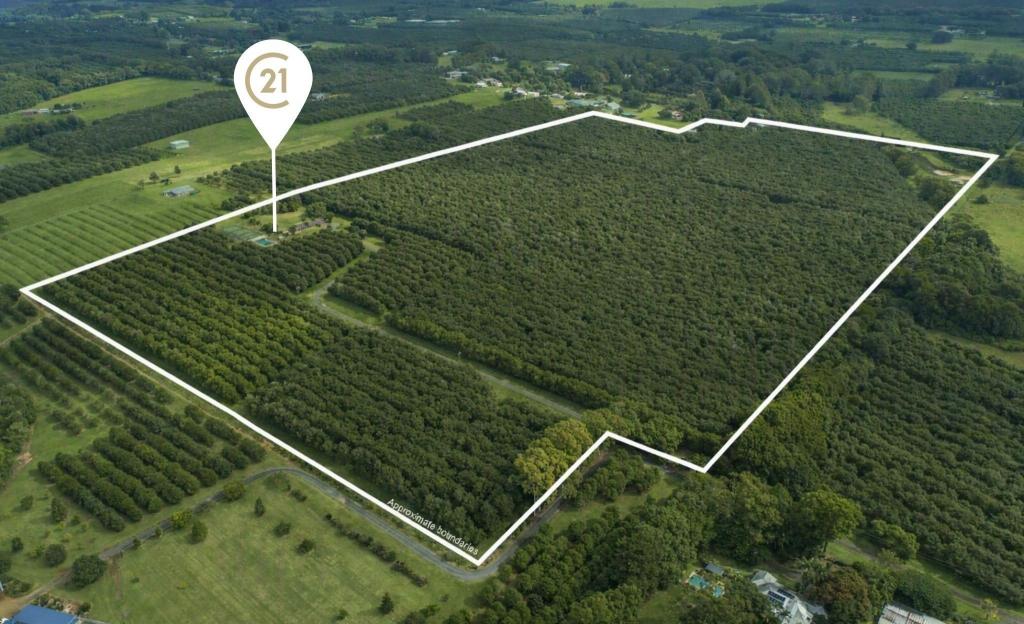 425 Wardell Rd, Alstonville, NSW 2477