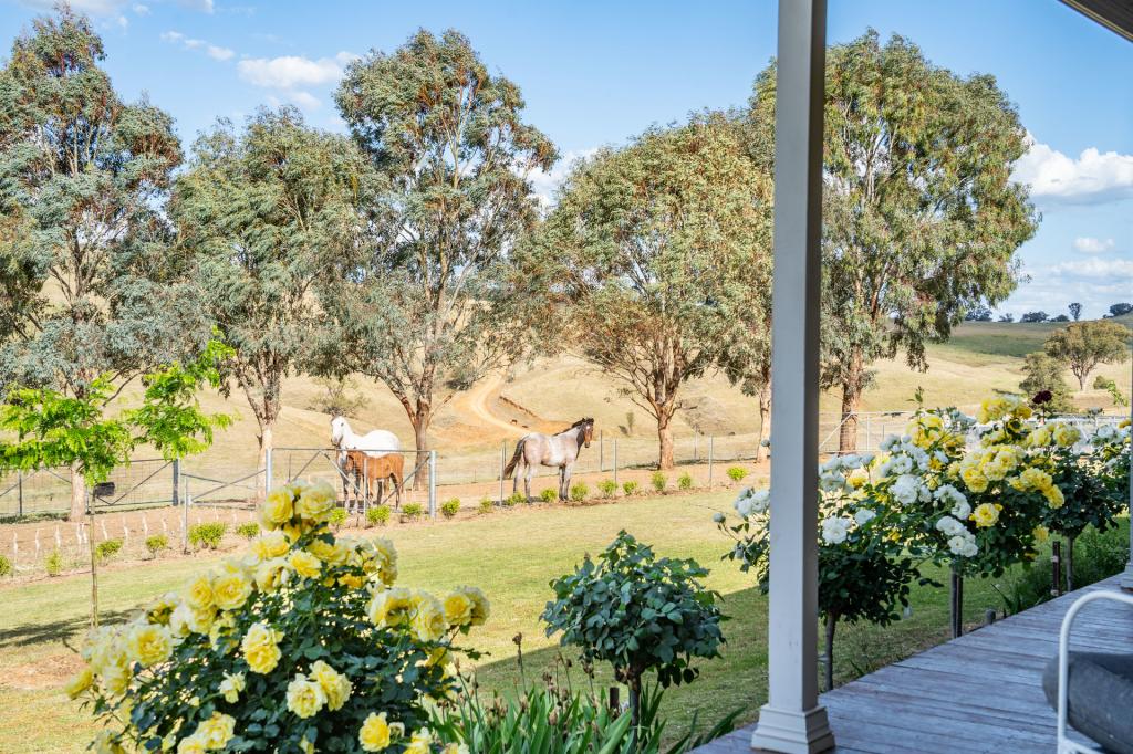 143 Kirribilli Rd, Canowindra, NSW 2804