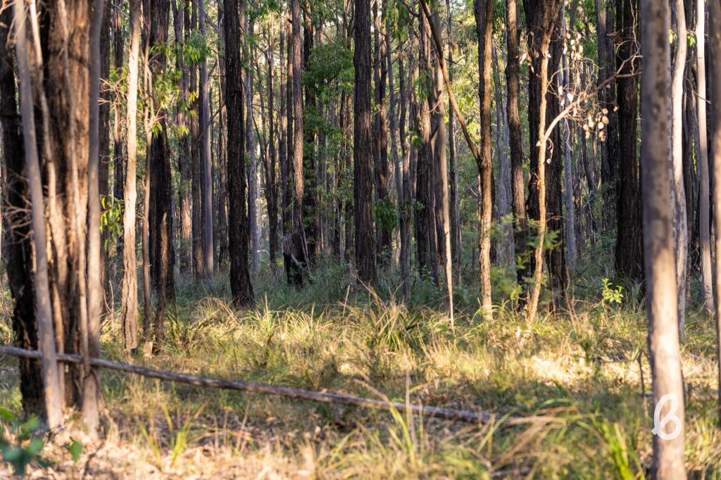 Lot 93 & Lot 94 Kirkton Rd, Lower Belford, NSW 2335