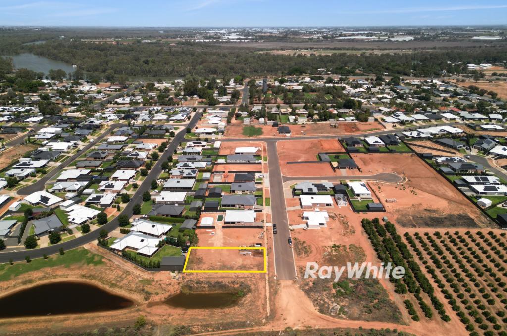20 Woodside Dr, Gol Gol, NSW 2738