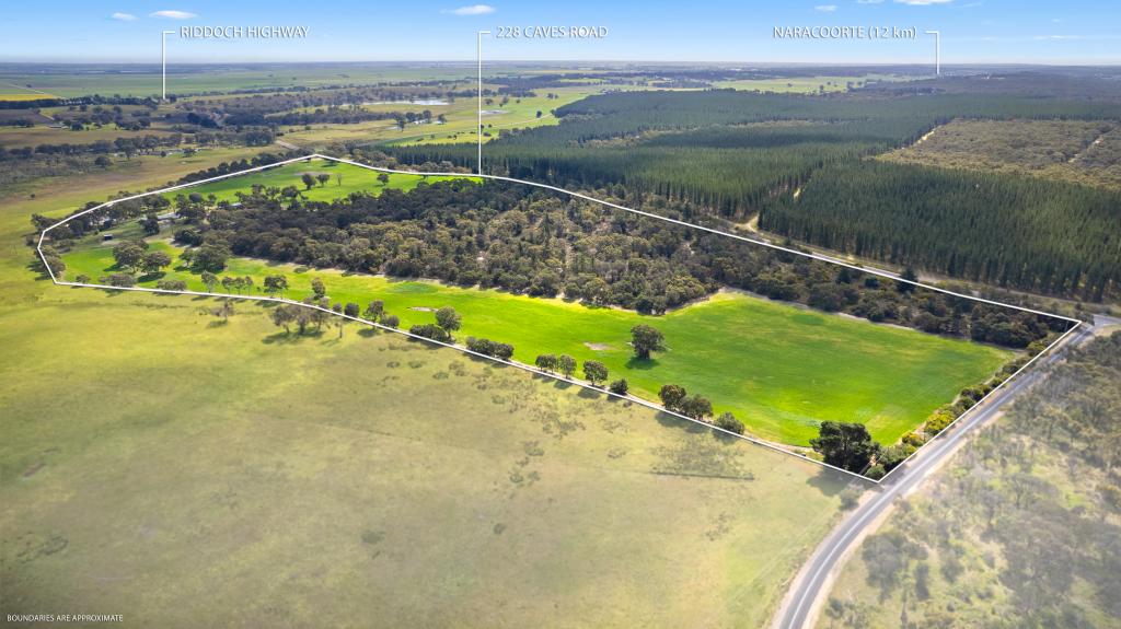 228 Caves Rd, Naracoorte, SA 5271