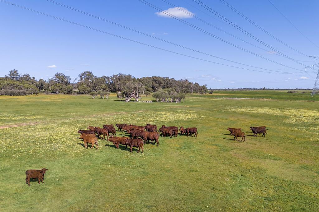 Lot 3119 Brand Hwy, Gingin, WA 6503