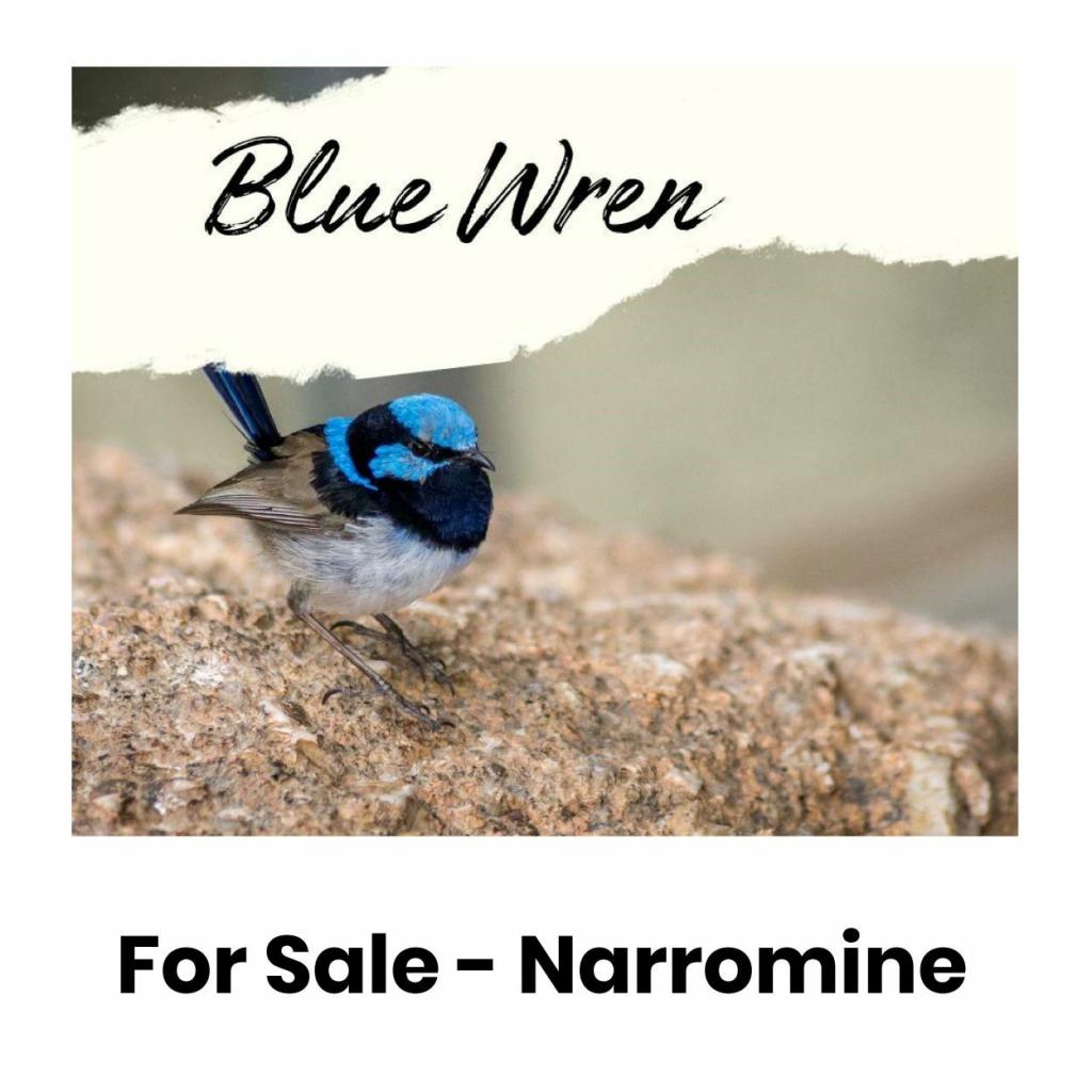 Lot Blue Wren Estate/Lot 2/134 Dappo Rd, Narromine, NSW 2821