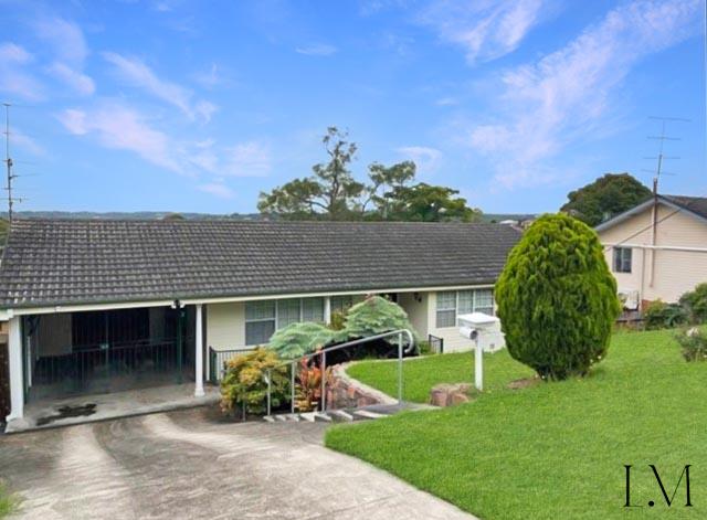 17 Branxton St, Waratah West, NSW 2298