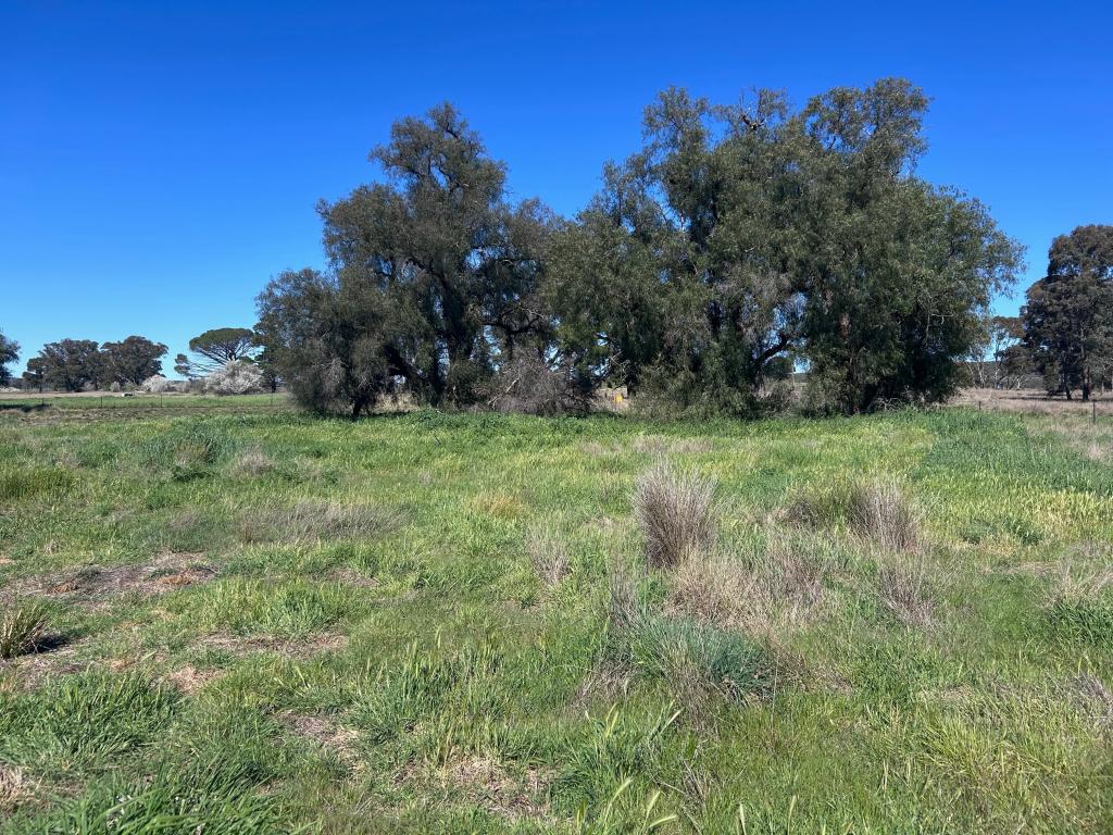 . LAKE ENDEAVOUR RD, PARKES, NSW 2870