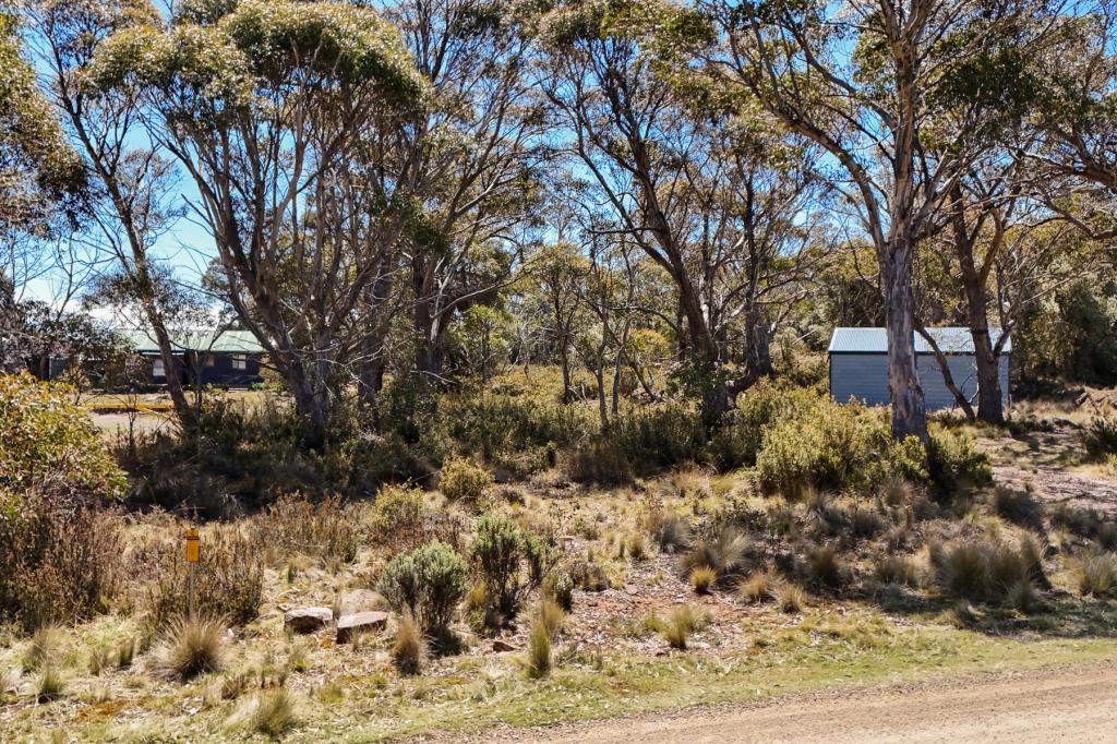 49 Jones Rd, Miena, TAS 7030