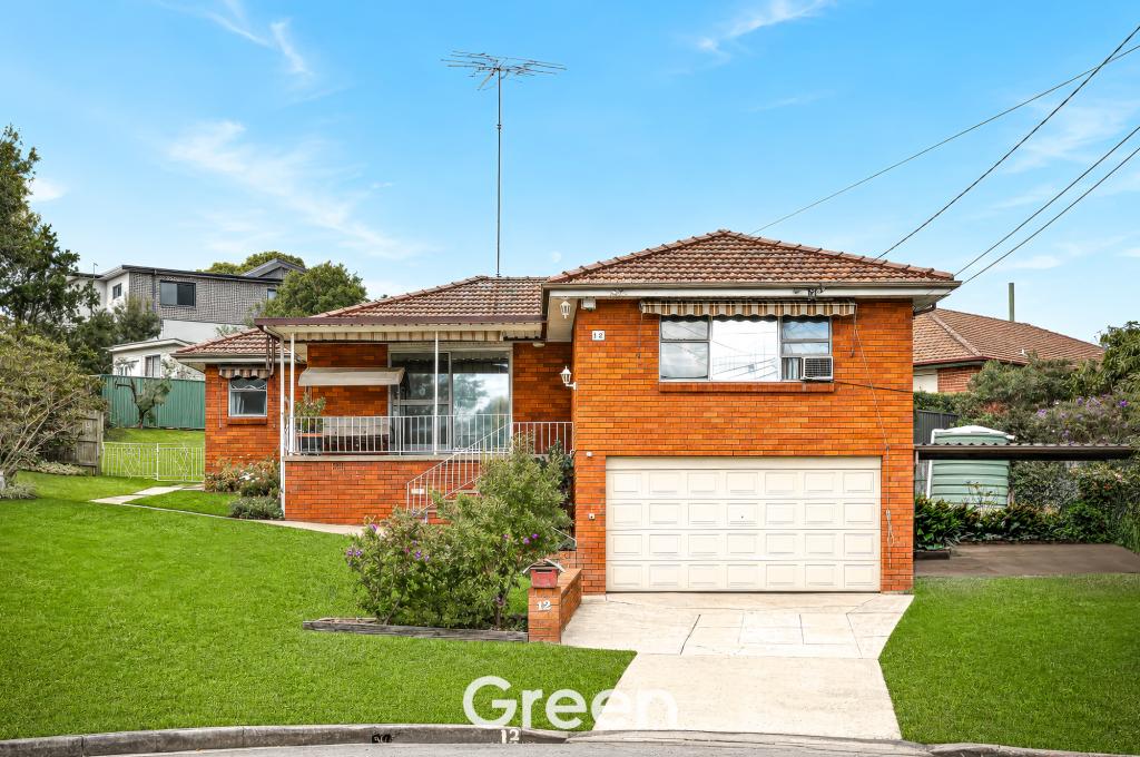 12 Cleveland St, Ermington, NSW 2115