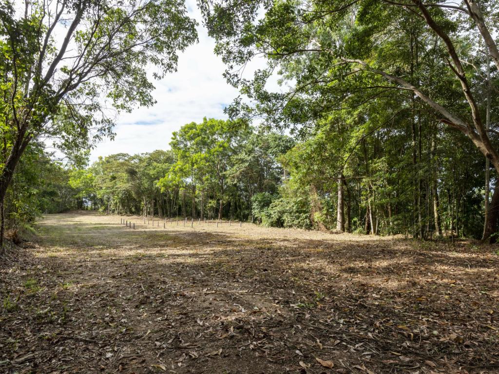 Lot 11 Sawmill Rd, Mossman, QLD 4873