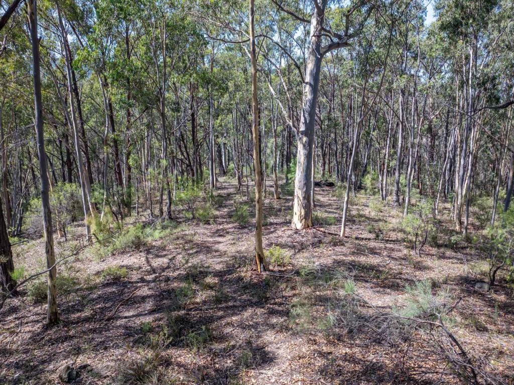 Lot 3422 Blackheath Creek Rd, Kanimbla, NSW 2790