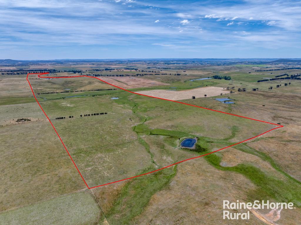 909 WINDELLAMA RD, GOULBURN, NSW 2580