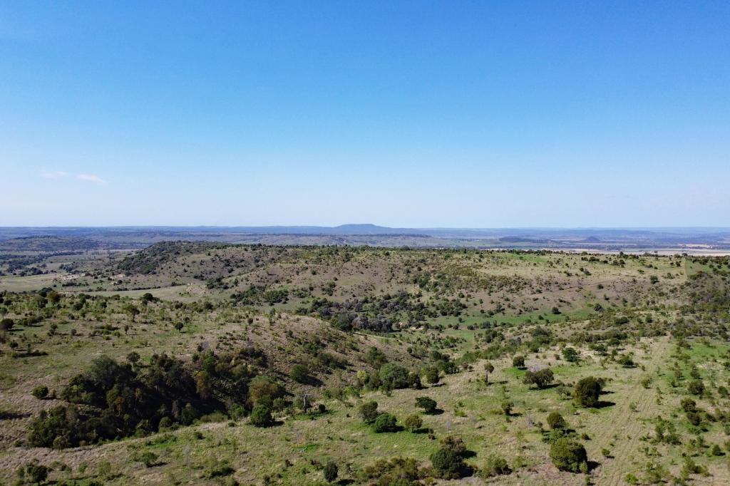 Contact agent for address, THANGOOL, QLD 4716