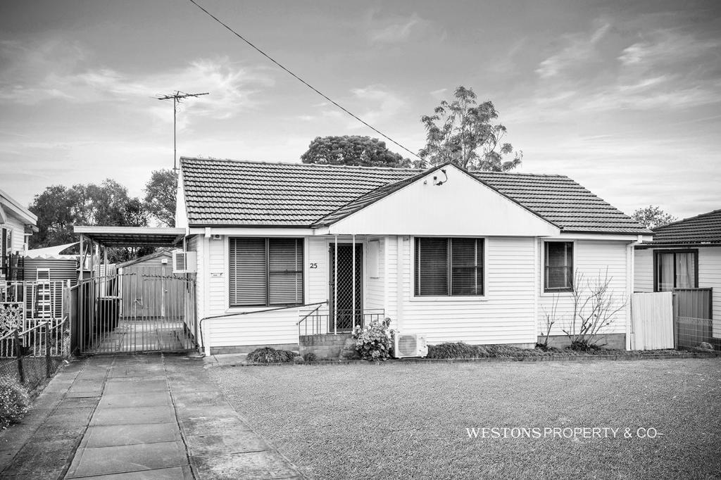 25 DEBRINCAT AVE, NORTH ST MARYS, NSW 2760