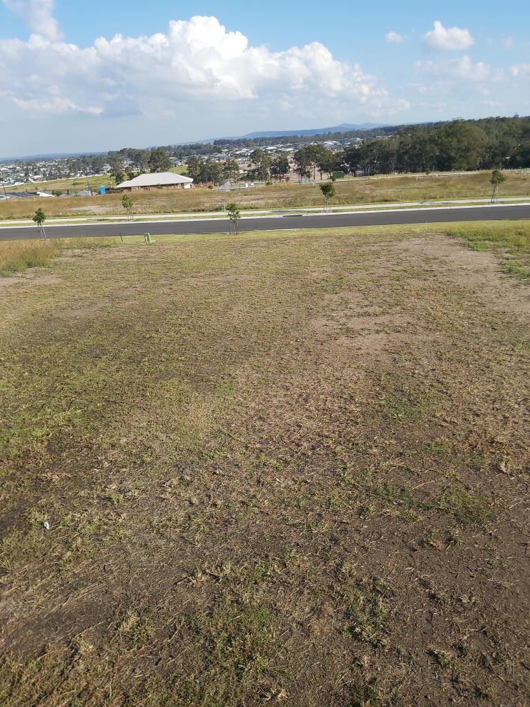 66 (Lot 109) Wicklow Rd, Chisholm, NSW 2322