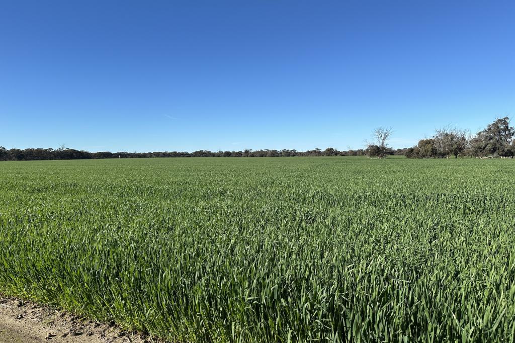 28694 Great Southern Hwy, Katanning, WA 6317