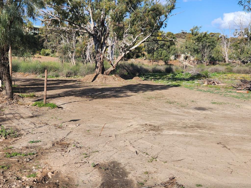 LOT 23 IDYLL ACRES, MORGAN, SA 5320