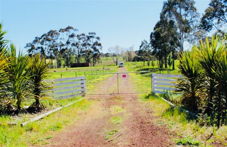 1/51 Petschels Lane, Hamilton, VIC 3300