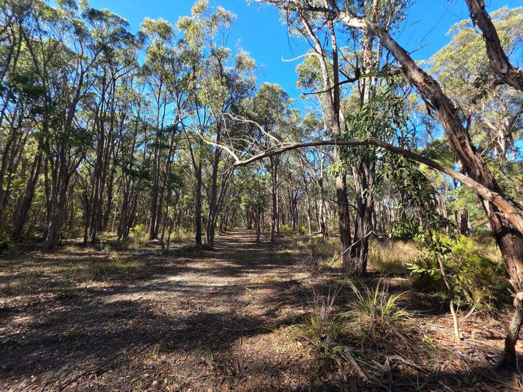29 Kurrajong Lane, Applethorpe, QLD 4378
