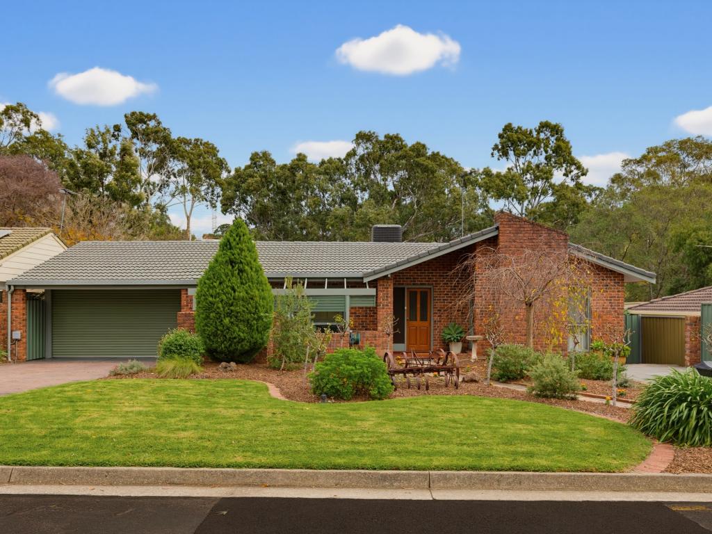 11 Shiraz Ct, Aberfoyle Park, SA 5159