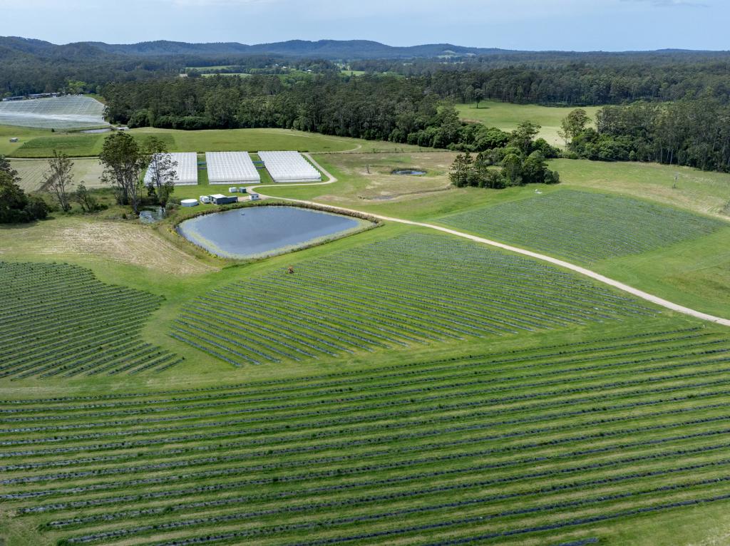 40B HALLGATHS RD, BUCCA, NSW 2450
