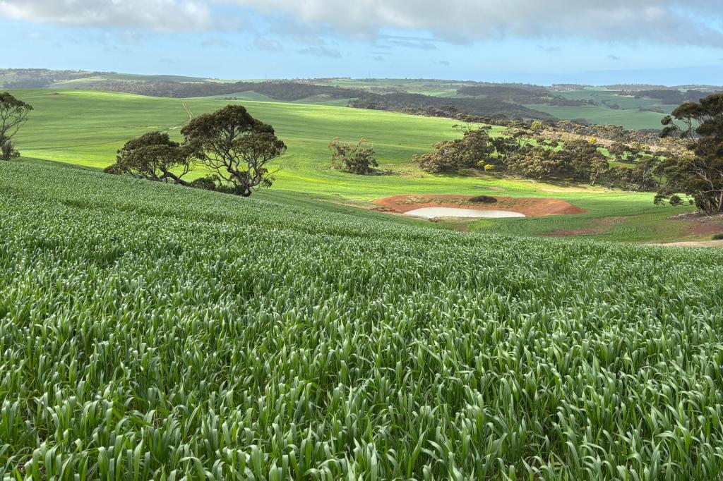 778 Pillaworta Rd, Koppio, SA 5607