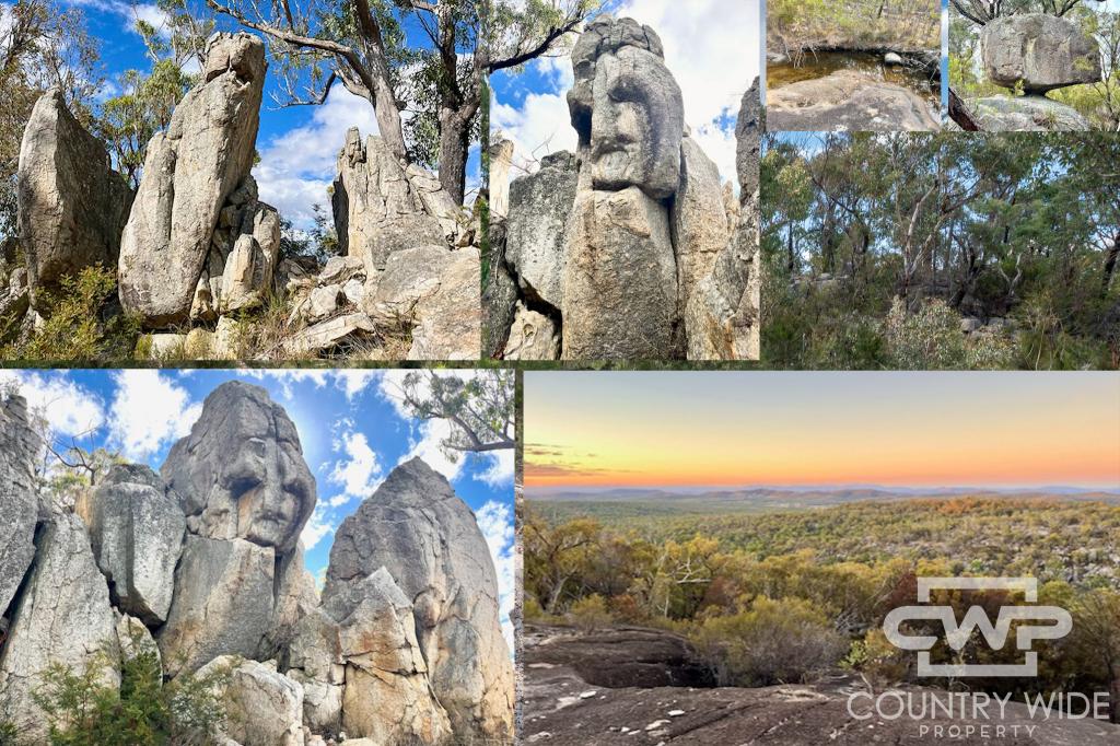 1478 Silent Grove Rd, Torrington, NSW 2371