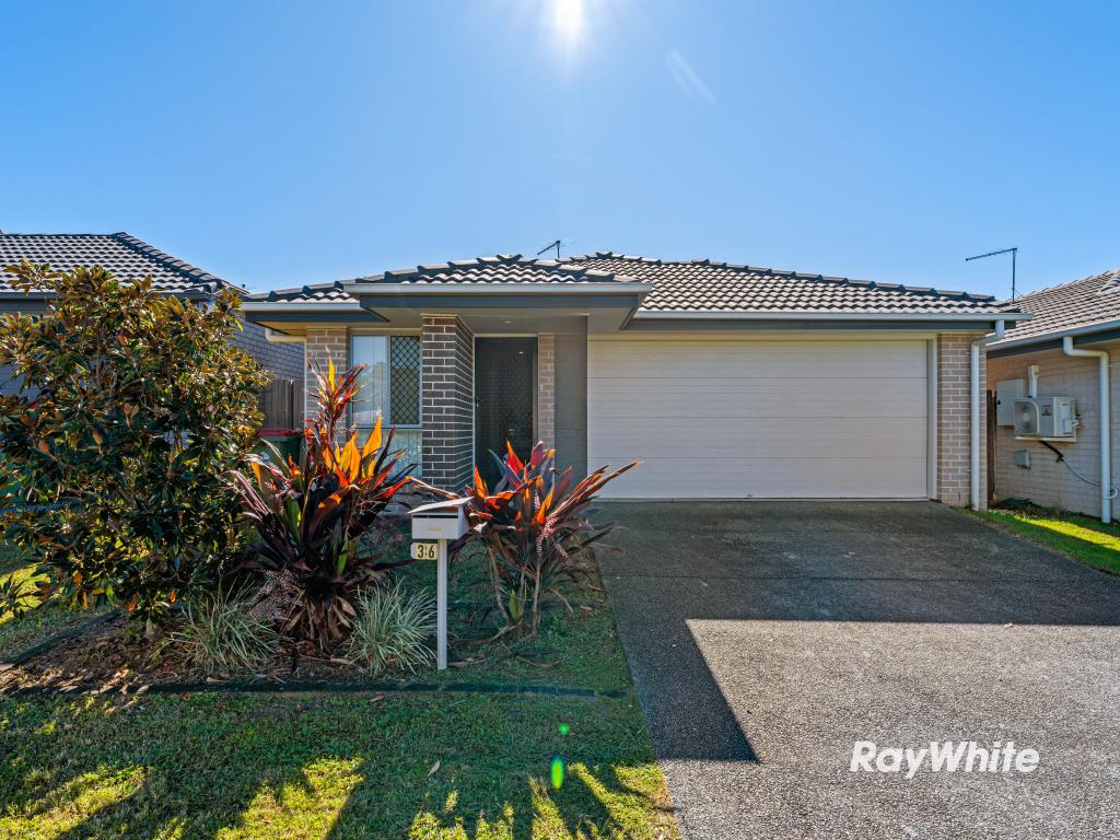 36 Mount Mee St, Park Ridge, QLD 4125