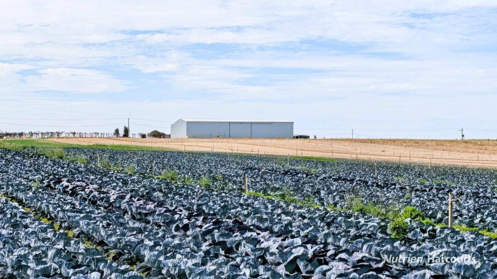 Lot 74 Croot Pl, Woodridge, WA 6041