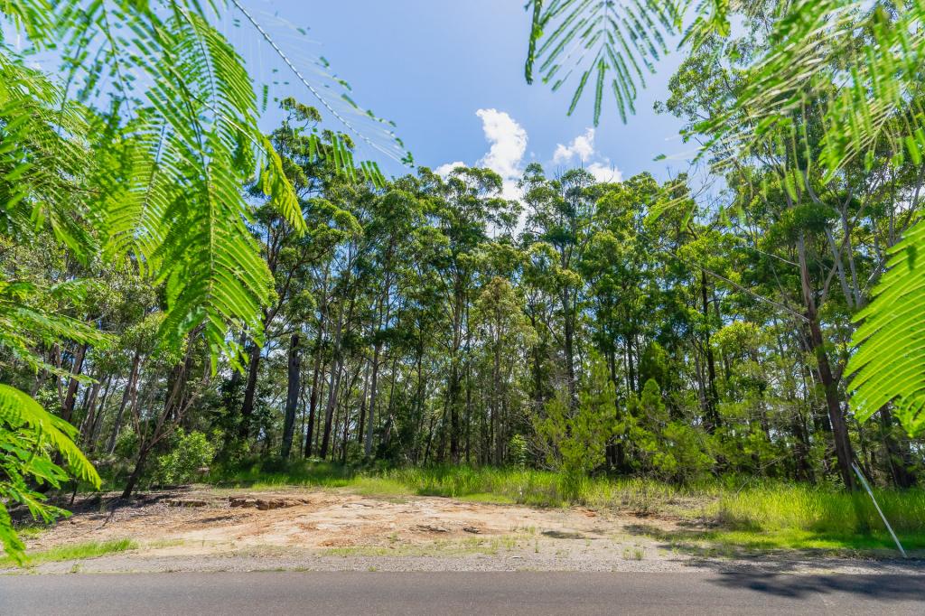 155 Mons School Rd, Buderim, QLD 4556