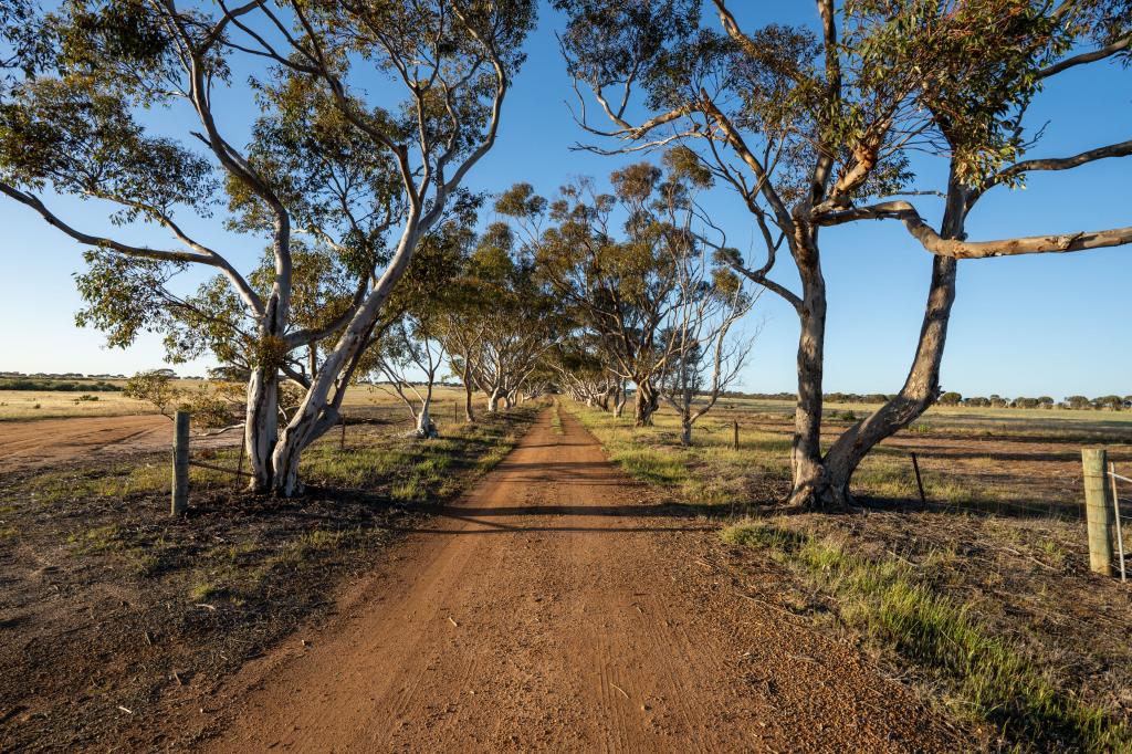5566 Tieline Rd, Gnowangerup, WA 6335