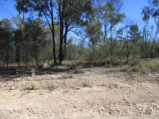 Lot 29 Dahlkes Rd, Goranba, QLD 4421