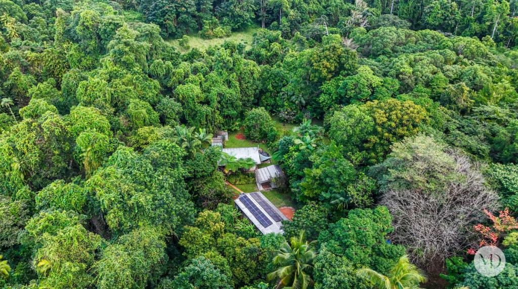 333B PALMERSTON HWY, STOTERS HILL, QLD 4860