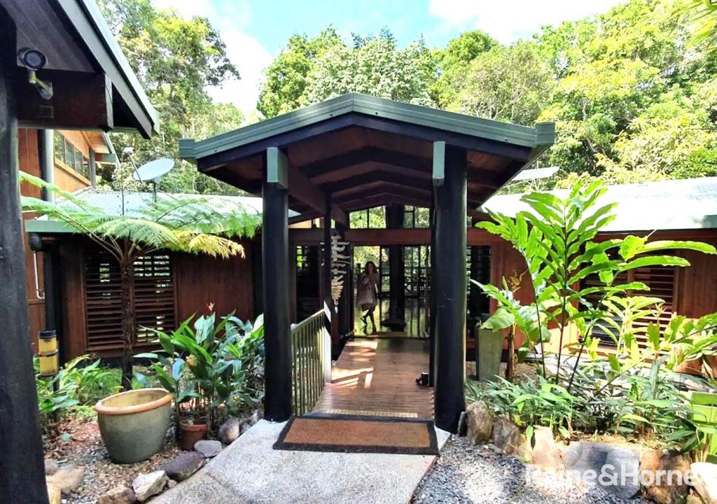 472 Buchanan Creek Road, Cow Bay, Daintree, QLD 4873