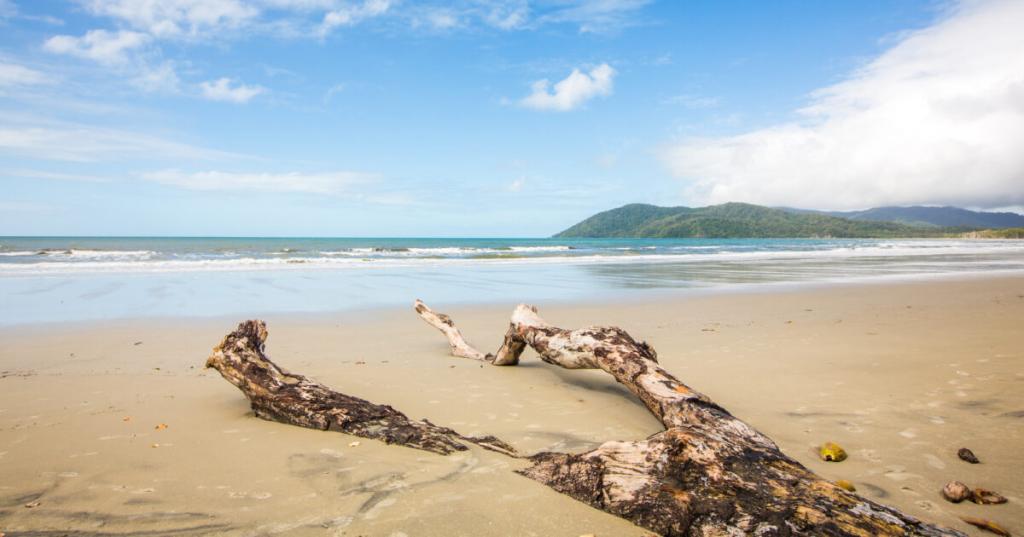 7 Fig Tree Rd, Cow Bay, QLD 4873