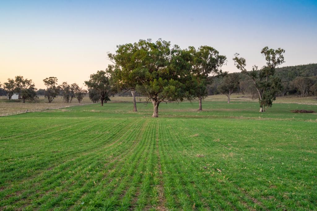'Tullatoola' 798 Packham Dr, Molong, NSW 2866