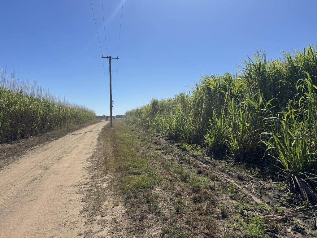 183 Burstall Rd, Airdmillan, QLD 4807
