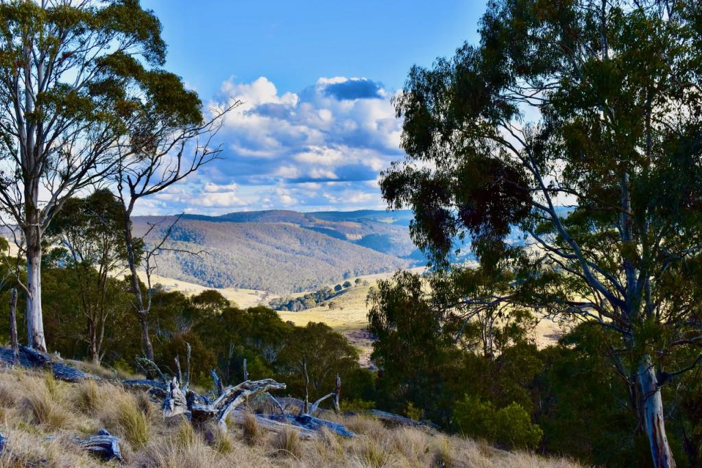 LOT/129 SHEEPSTATION FOREST RD, GINGKIN, NSW 2787