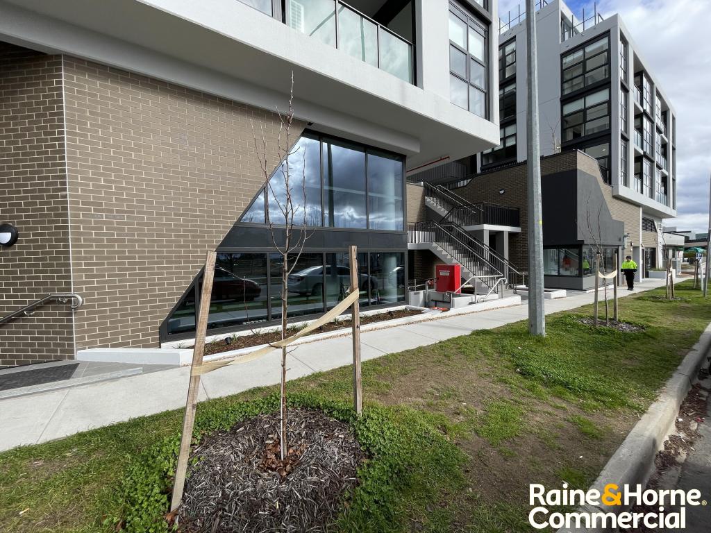 155/70 Efkarpidis St, Gungahlin, ACT 2912