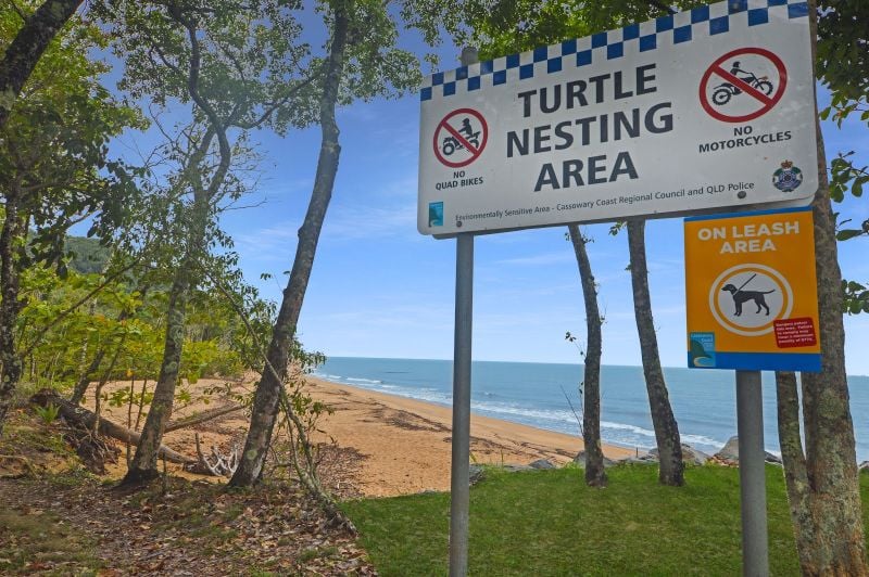 8 Feldt St, Flying Fish Point, QLD 4860