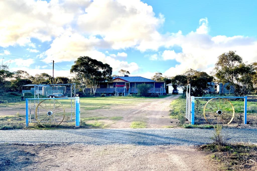 115 GAWLER RANGES RD, WIRRULLA, SA 5661